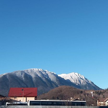 Piatra Craiului Residence Zărneşti エクステリア 写真