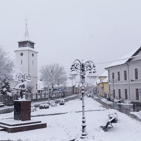 Piatra Craiului Residence Zărneşti エクステリア 写真
