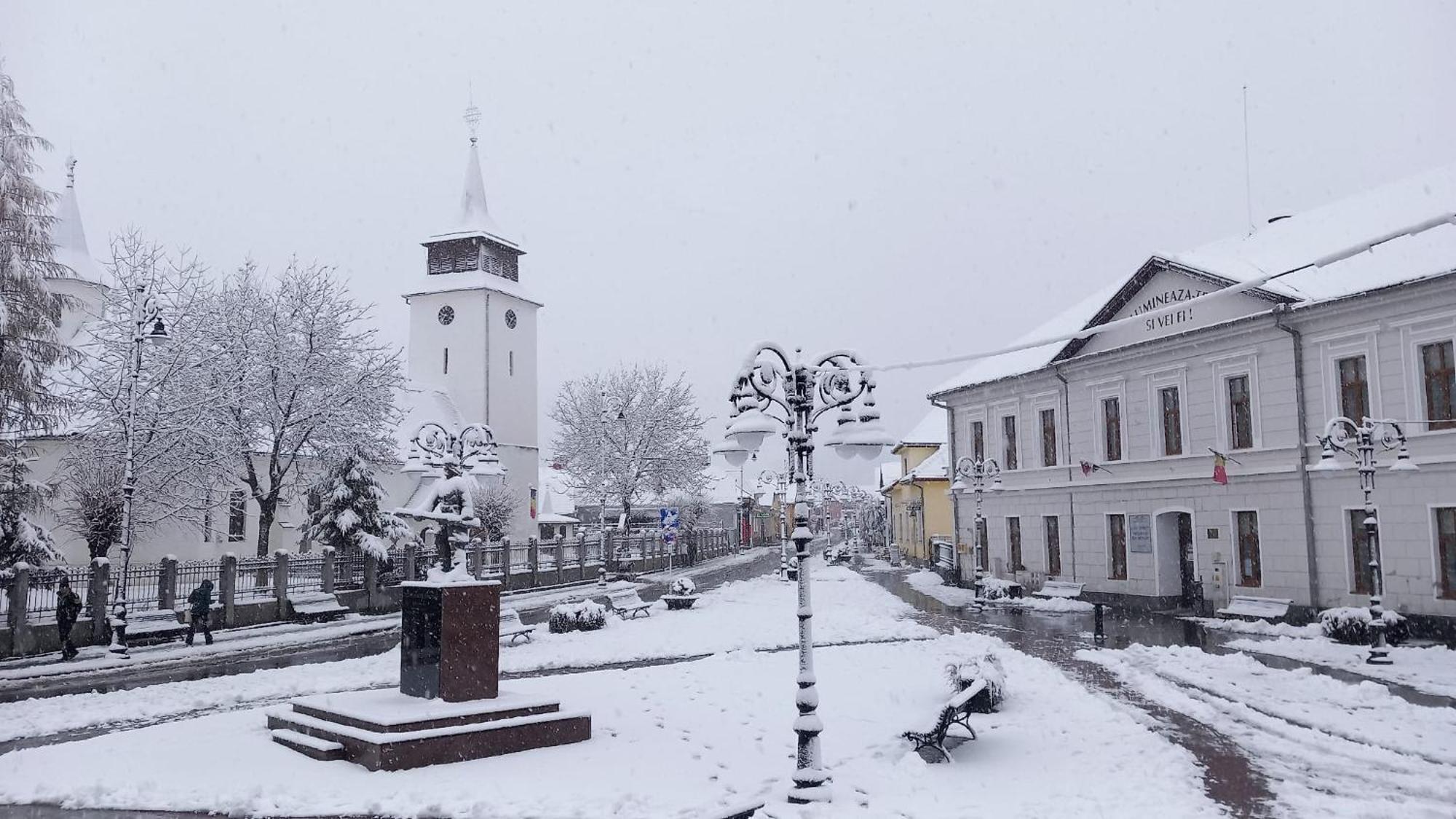 Piatra Craiului Residence Zărneşti エクステリア 写真